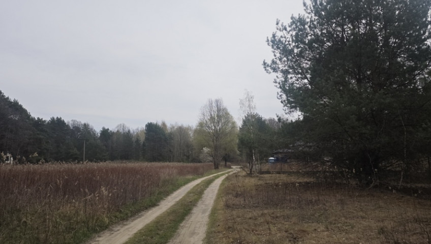 Działka Sprzedaż Wólka Kryształowa